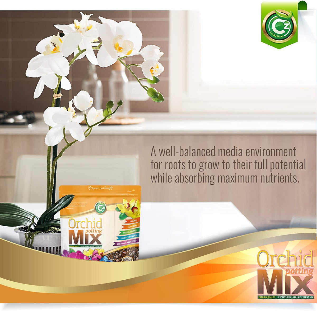 Cz Garden Supply Bug-free facility ensures clean mix for orchids.