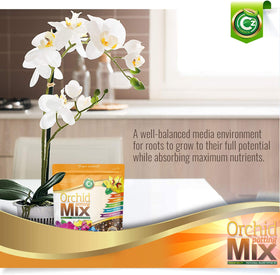 Cz Garden Supply Bug-free facility ensures clean mix for orchids.