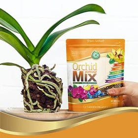 Cz Garden Supply Coarse Sponge Rock enhances root aeration for orchids.