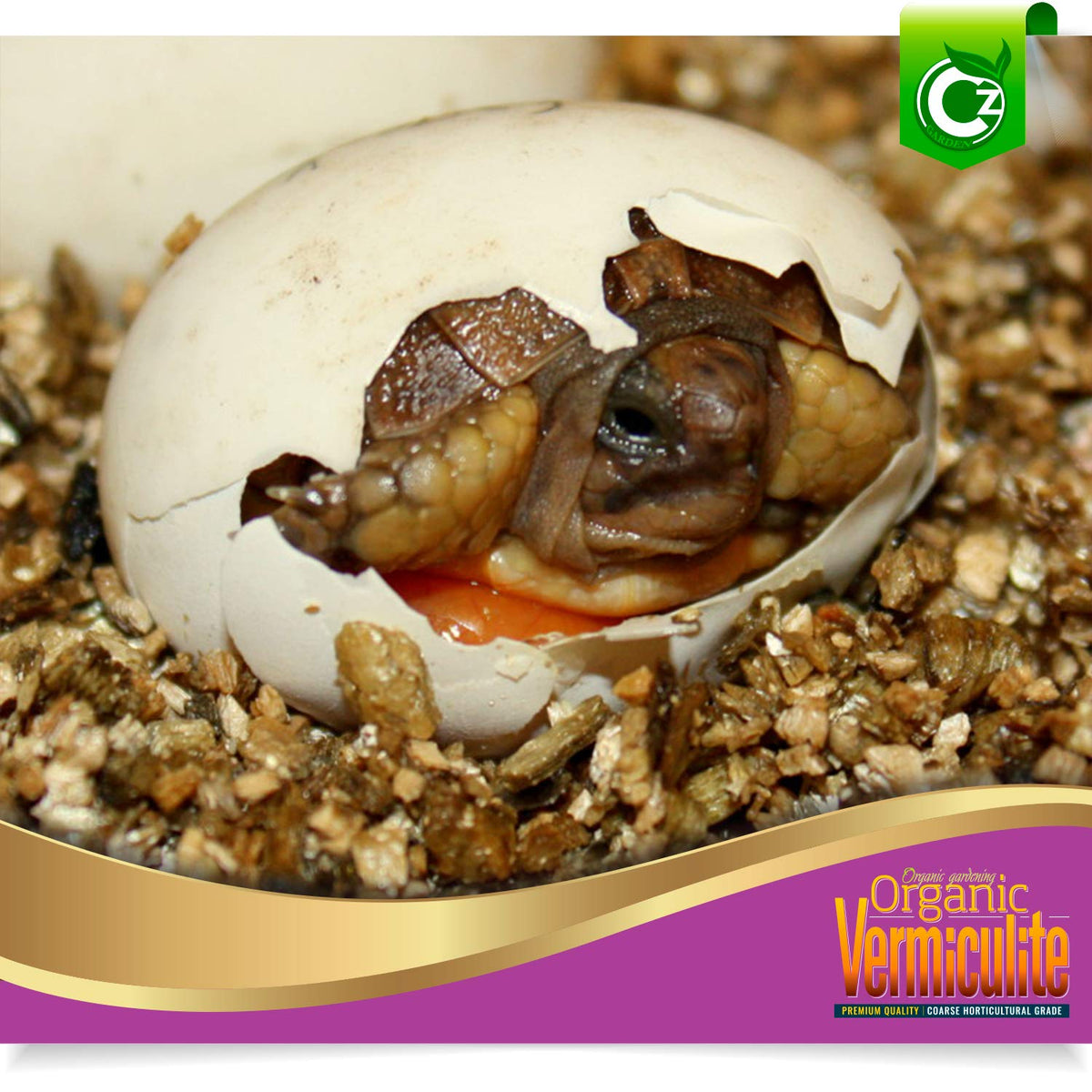 Cz Garden Supply coarse vermiculite demonstrates air and water porosity for healthier roots