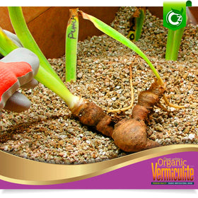 Cz Garden Supply coarse vermiculite resealable pouch keeps content fresh for reuse