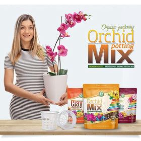 Cz Garden Supply Expanded Clay Pebbles aid drainage and root stability.