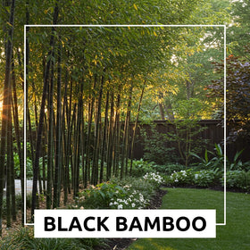 CZ Grain container planting ideas for bamboo accent pots and patios