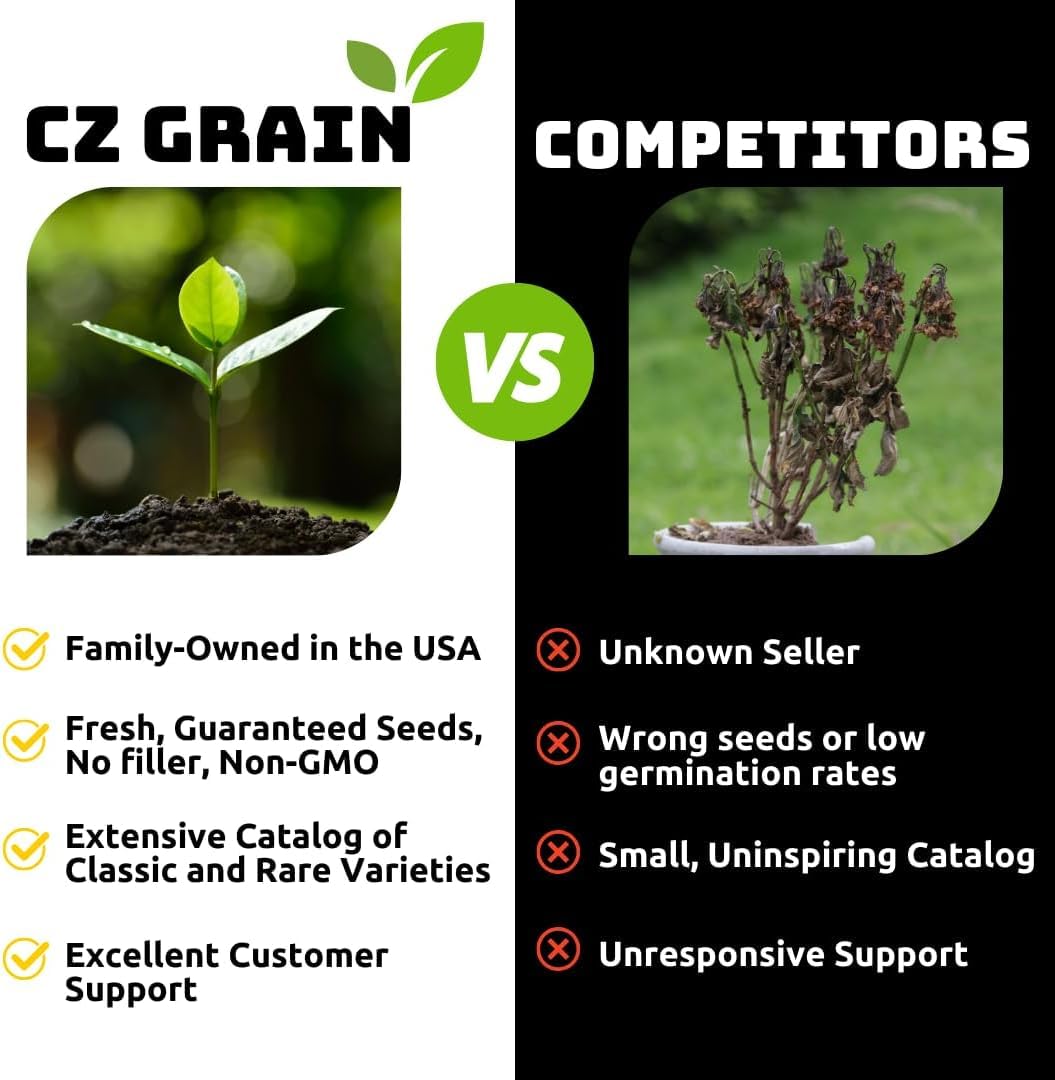 CZ Grain beginner-friendly Bachelor Button seeds for new gardeners.
