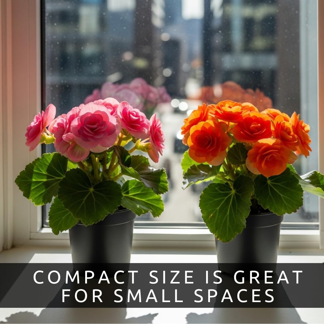 CZ Grain compact Begonia fits desks or small rooms with ease.
