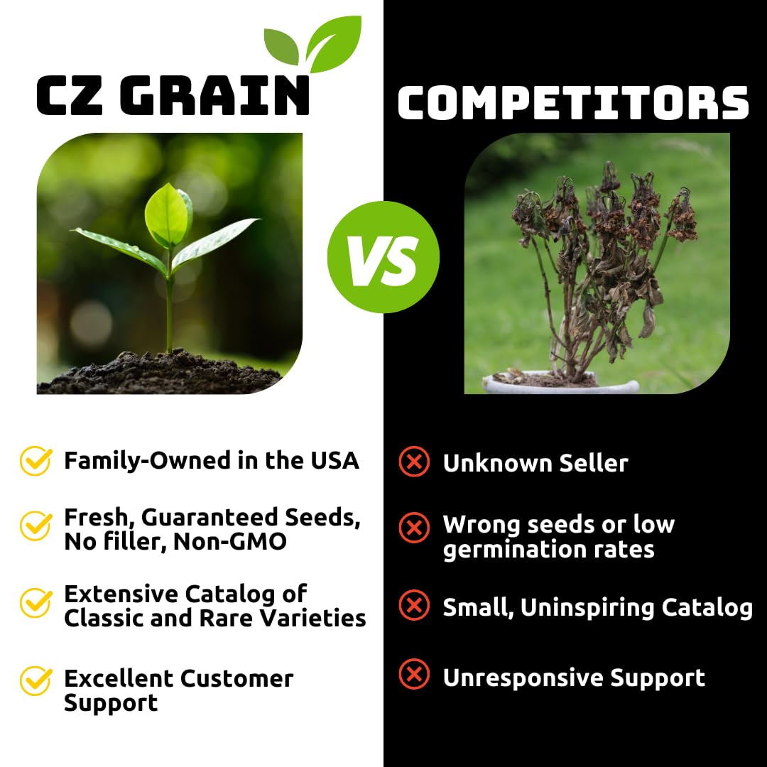 CZ Grain 420 Black Bamboo adds exotic appeal and modern texture to gardens