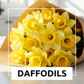 CZ Grain container planting of daffodils provides a cheerful patio centerpiece.