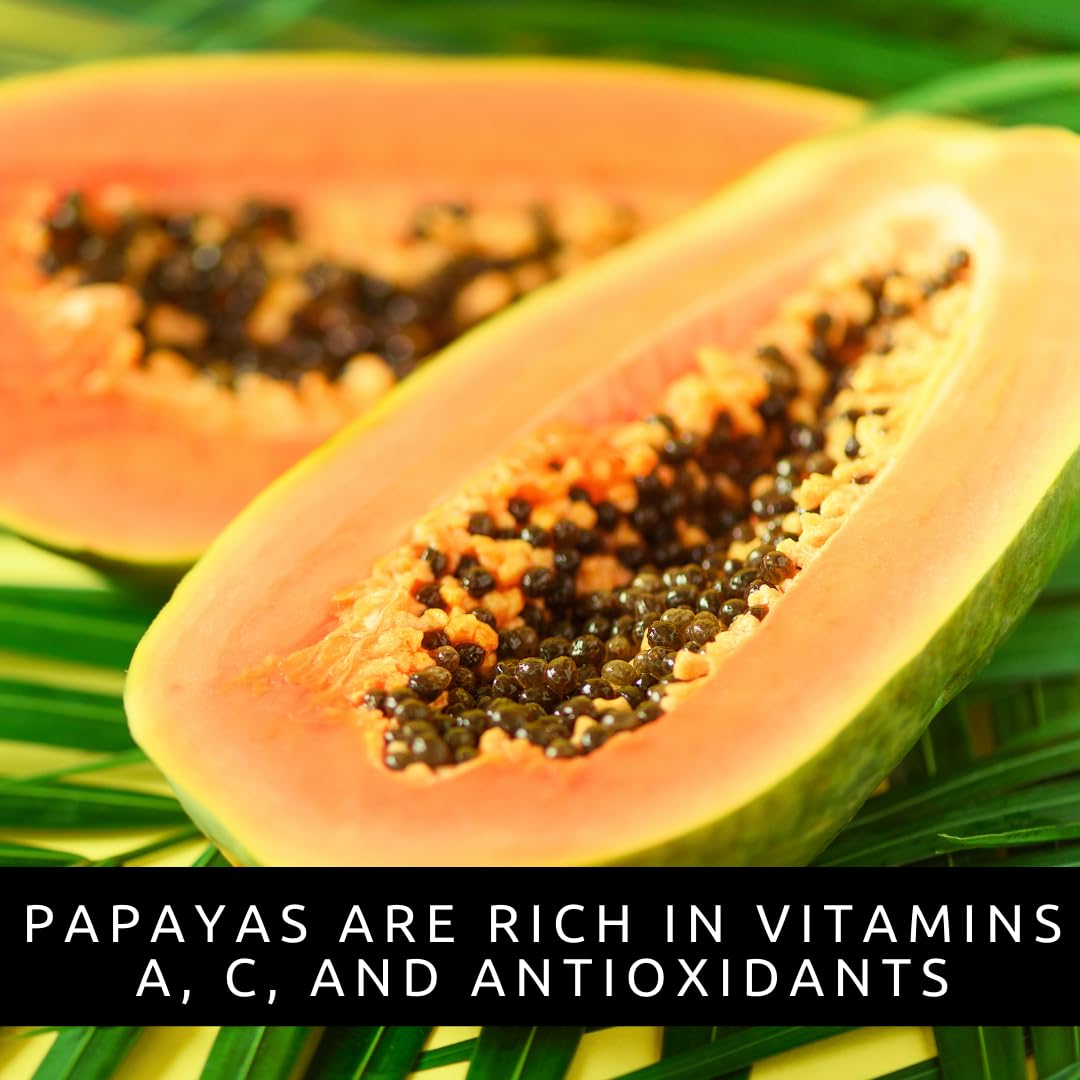 CZ Grain dwarf papaya seeds fruit-orange-harvest; yields edible orange flesh fruits.