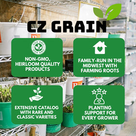 CZ Grain easy-to-grow caladiums in pots require well-draining soil