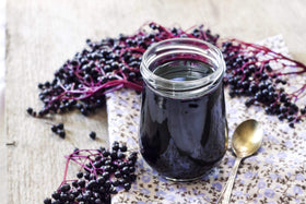 CZ Grain elderberry fruits and blossoms hint at edible harvest