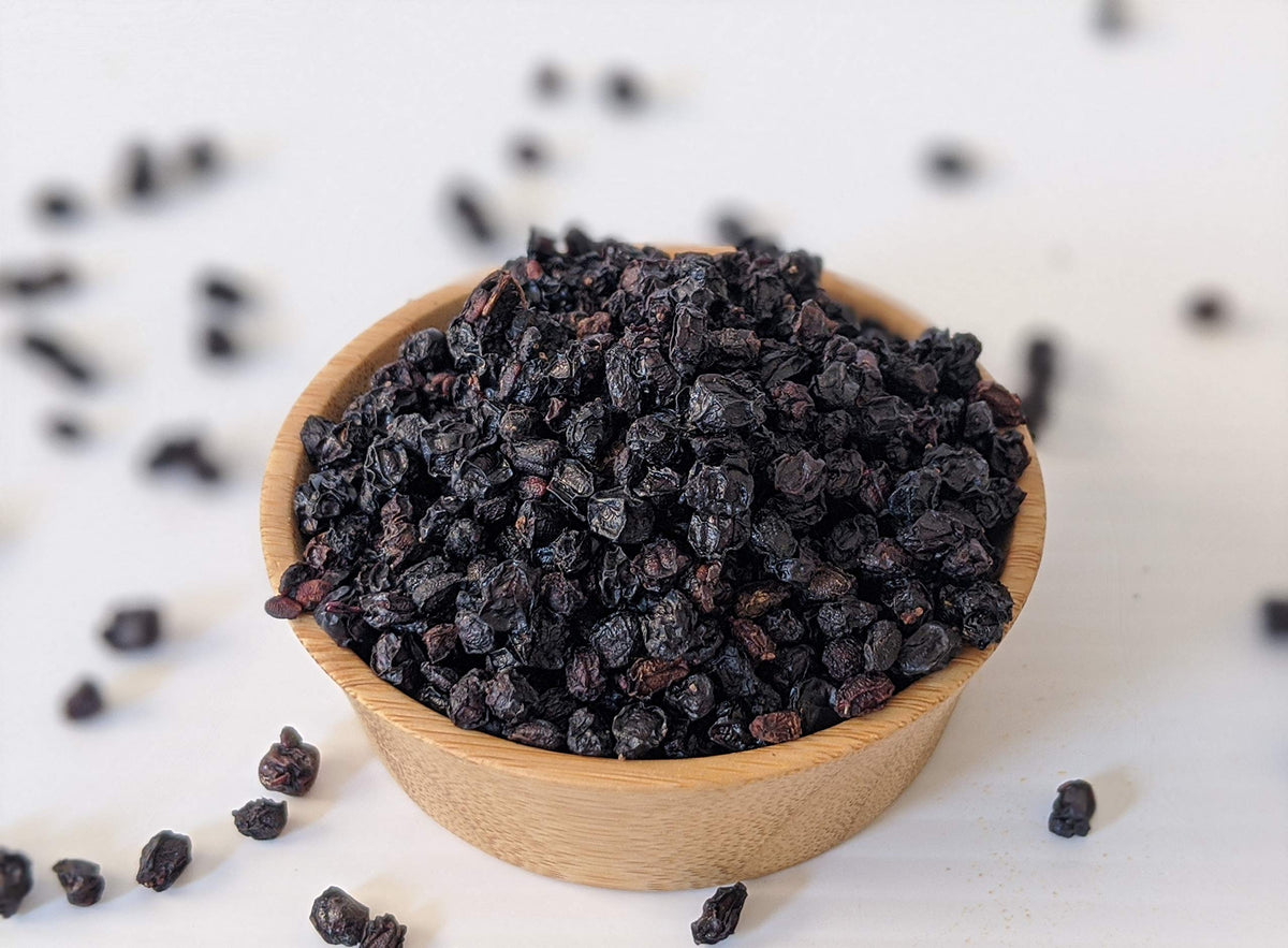 CZ Grain elderberry seeds in soil ready to grow in sun
