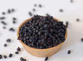 CZ Grain elderberry seeds in soil ready to grow in sun