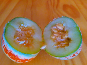 CZ Grain Kajari melon fruit closeup—bright striped, honeydew-like flavor.