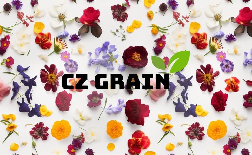 CZ Grain Agapanthus seeds enrich Mediterranean borders with blue blooms