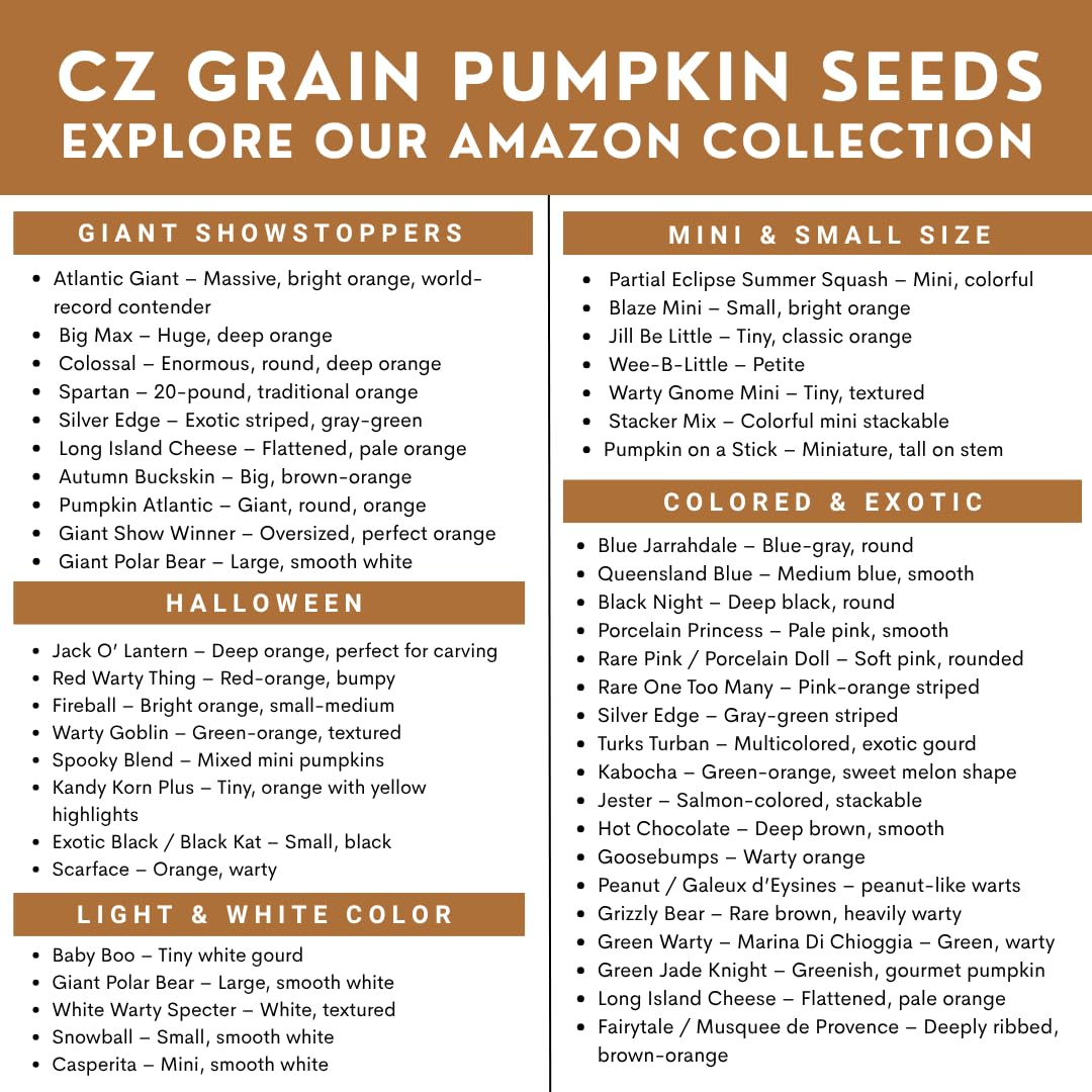 CZ Grain pink porcelain doll pumpkins in garden bed display