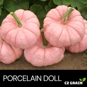 CZ Grain porcelain doll pink pumpkin fruit close-up showing pink rind and interior color