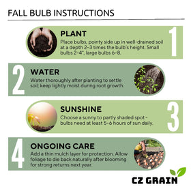 CZ Grain Seed Packet Closeup showing seed variety, easy to plan your planting.