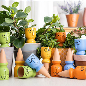 CZWL&HG easy bottle-to-spike setup for plant care