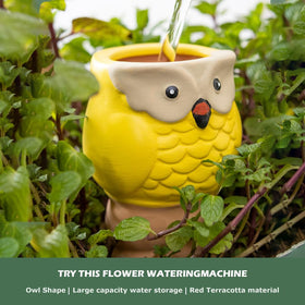 CZWL&HG four-pack watering spikes set