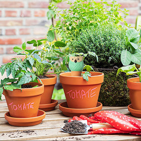 CZWL&HG indoor-outdoor plant care with self-watering spikes