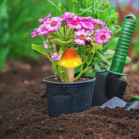 CZWL&HG indoor-outdoor use supports year-round plant care.