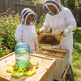Anti-drowning hexagonal design keeps bees safe while feeding.