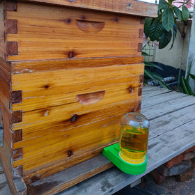 Dabkanna Bee Hive Feeder on-hive use supports efficient seasonal feeding.