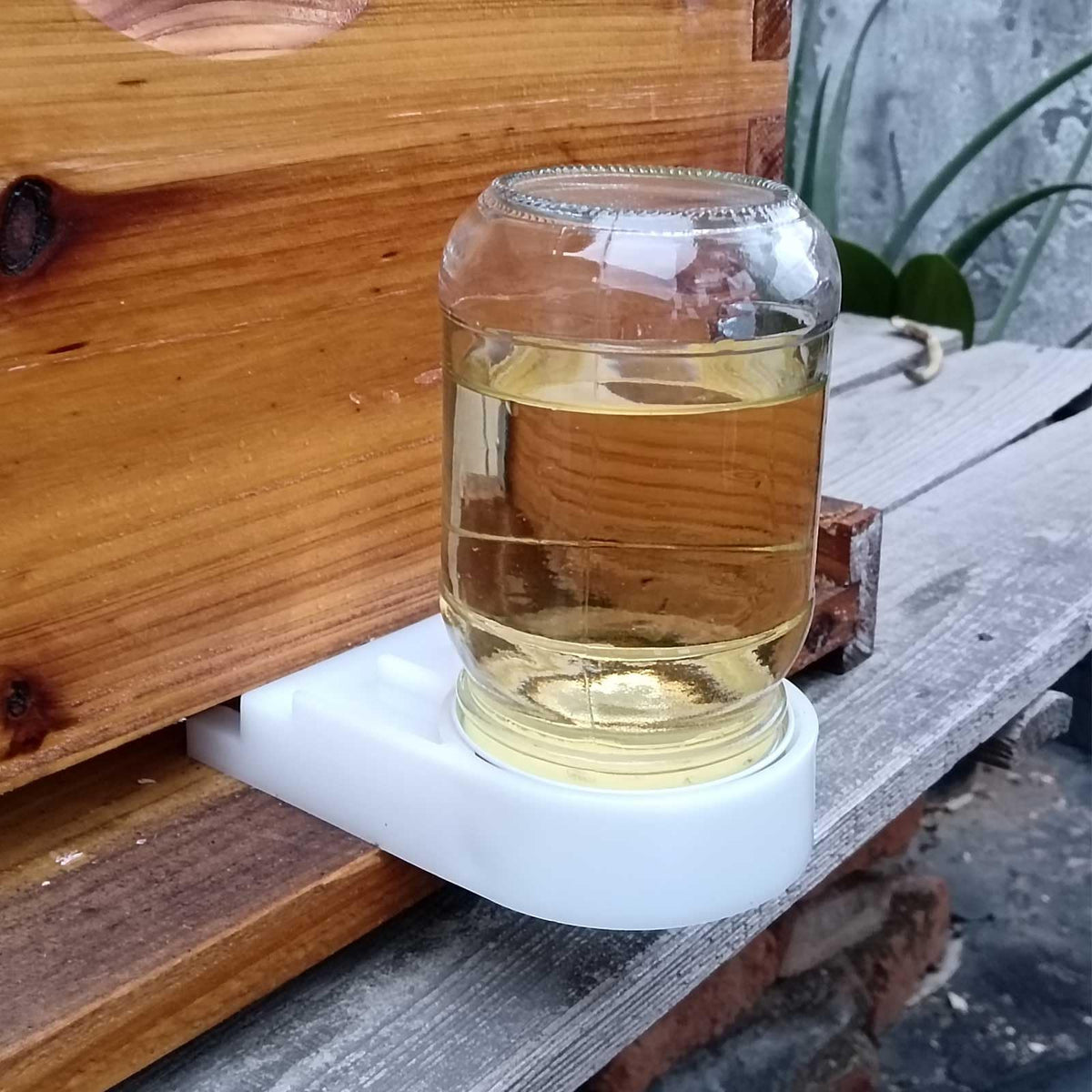 Dabkanna entrance feeder with durable plastic base for longevity
