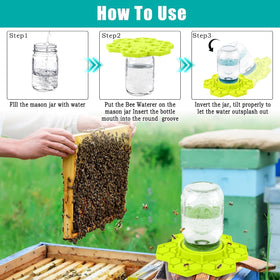 Bright yellow color attracts pollinators quickly to the water source.