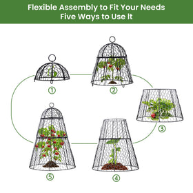Landscape stakes secure the cloche for stable garden protection
