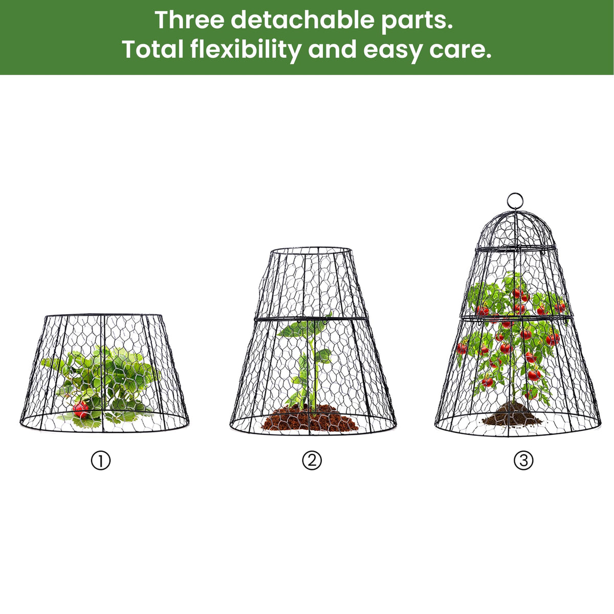 Plant labels help quick tagging of protected seedlings