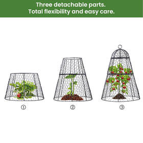 Plant labels help quick tagging of protected seedlings