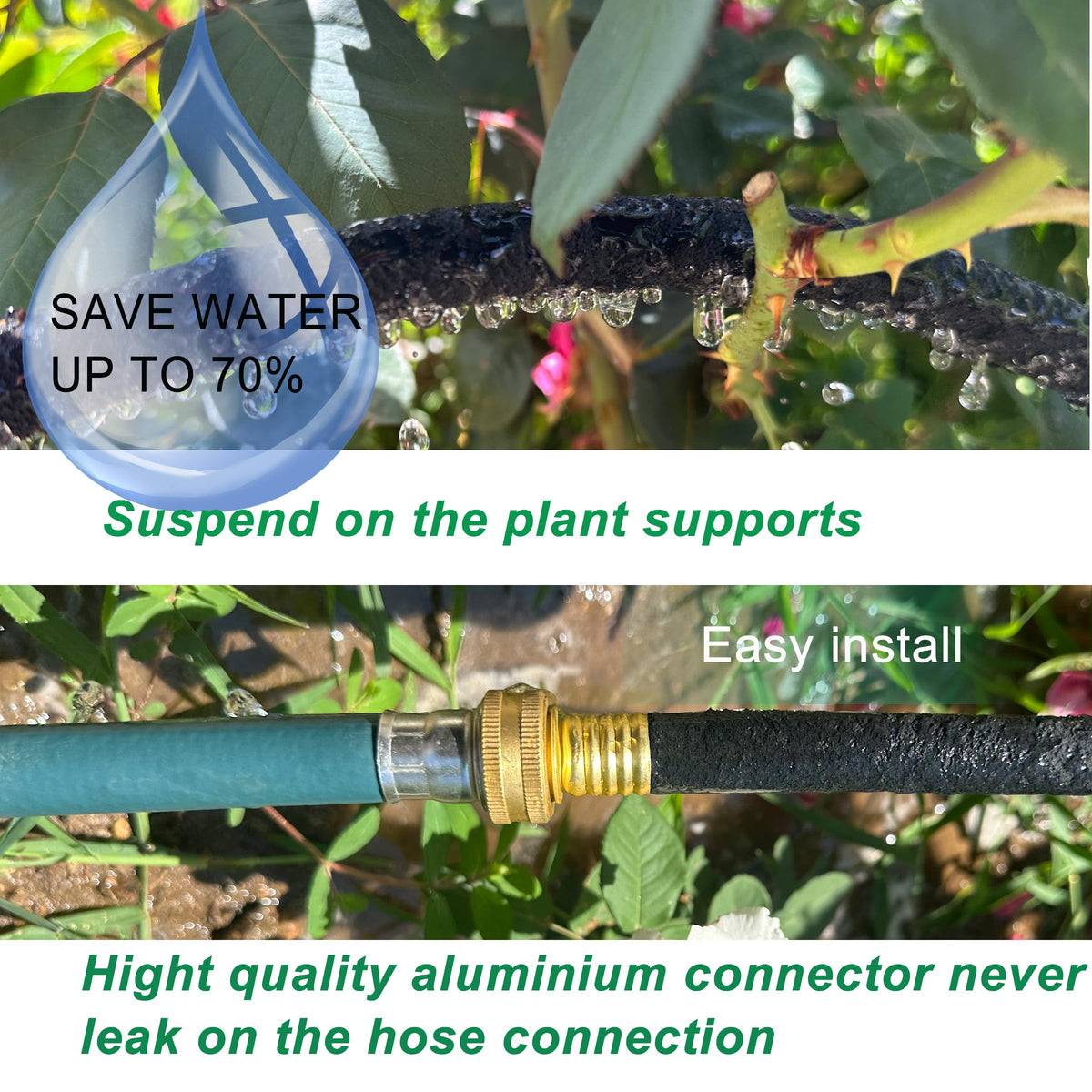 Daé ground stakes secure the hose for targeted root-zone watering