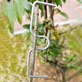 DAGUANZHI fruit tree yield-boost training kit shown.