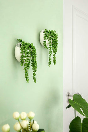 Dahey ceramic pot with mounting kit for easy wall display.