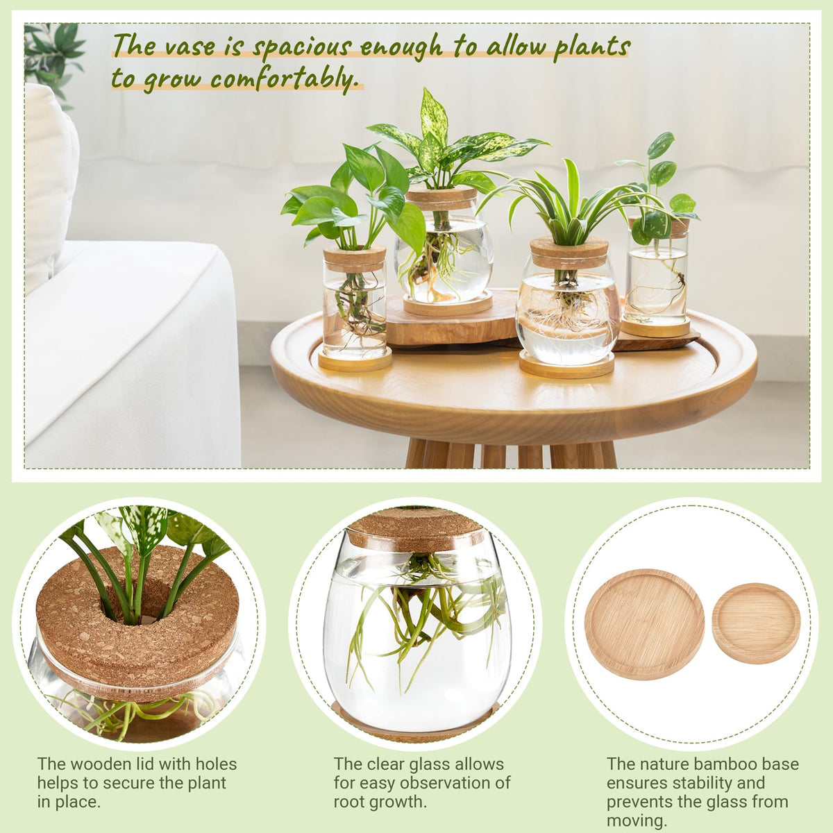 Dahey desktop terrarium jars provide elegant display while supporting propagation.