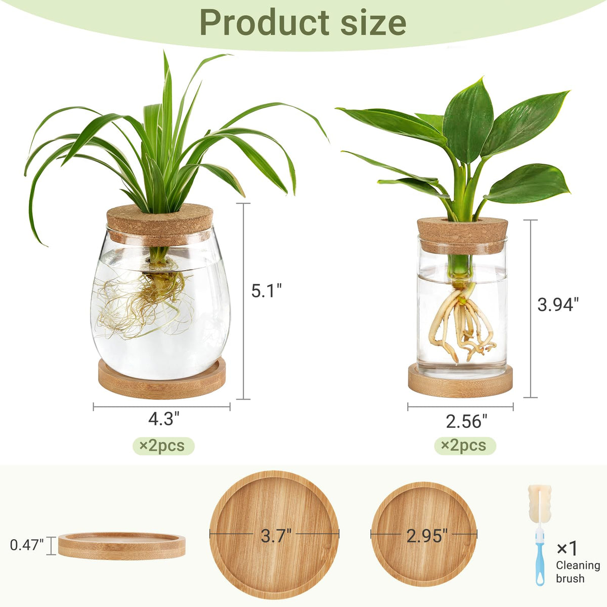 Dahey hydroponic vase set fits shelves or windowsills for natural ambiance.