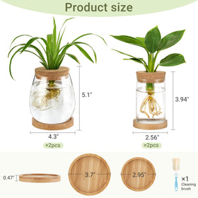 Dahey hydroponic vase set fits shelves or windowsills for natural ambiance.