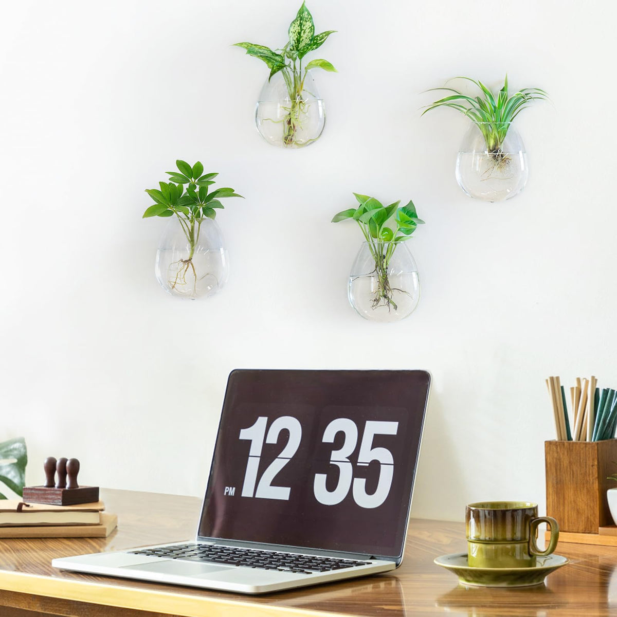 Dahey 4-pack wall display of oblate glass planters enhances décor.