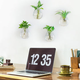 Dahey 4-pack wall display of oblate glass planters enhances décor.
