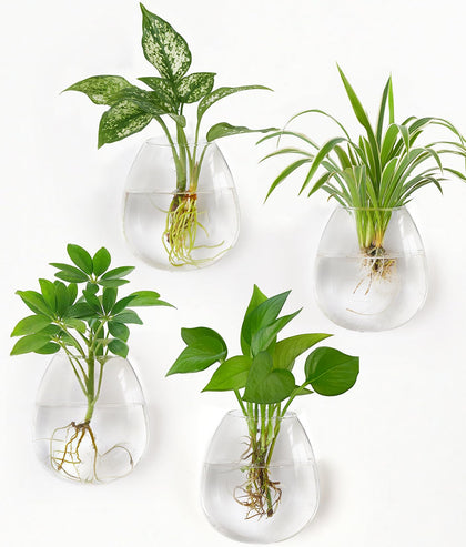Dahey wall-mount glass vase closeup for space-saving wall display.