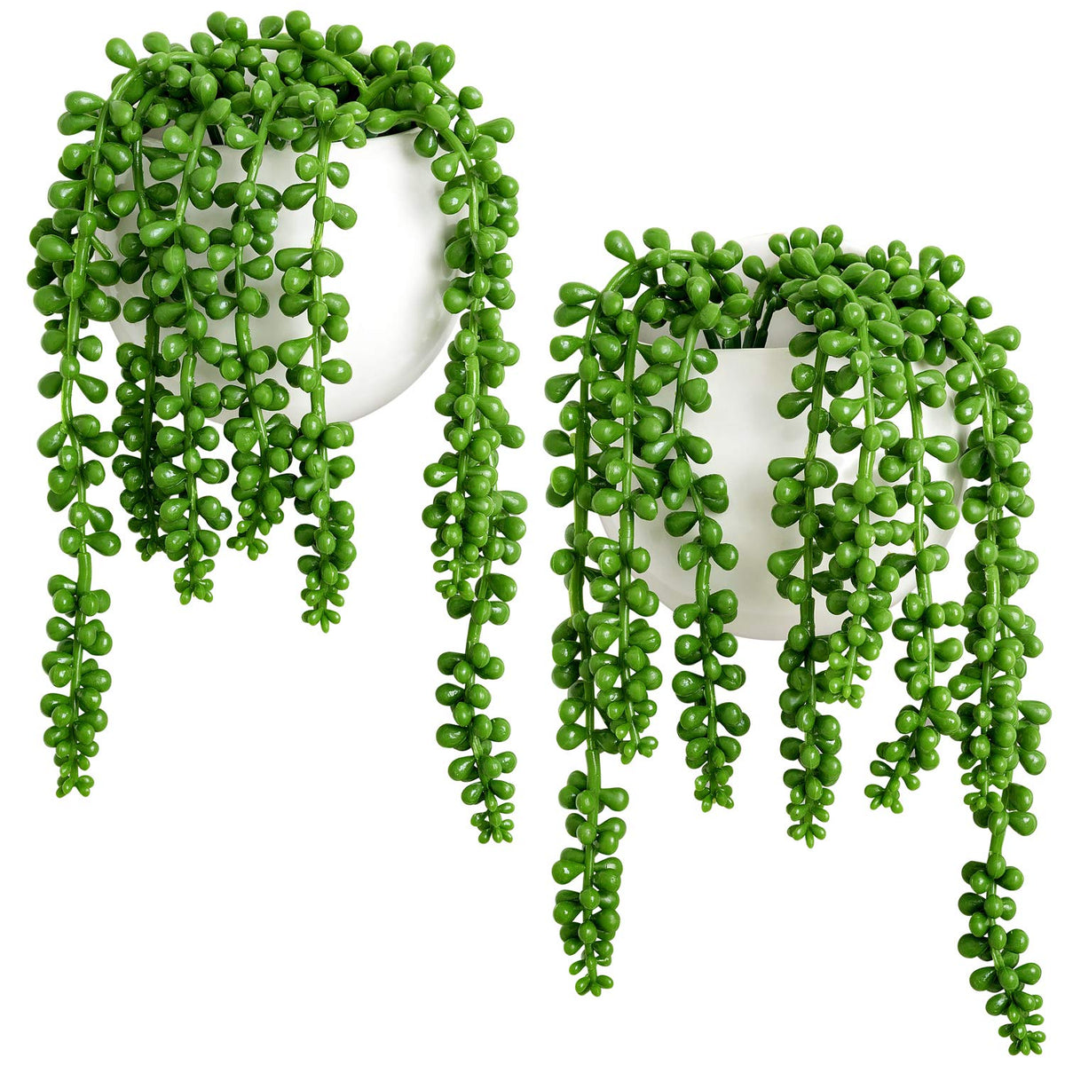Dahey wall planters with pearls and succulent for stylish indoor greenery.
