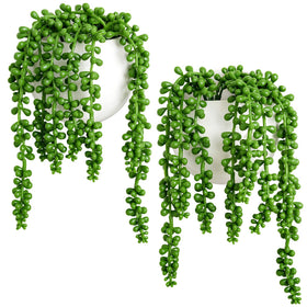 Dahey wall planters with pearls and succulent for stylish indoor greenery.