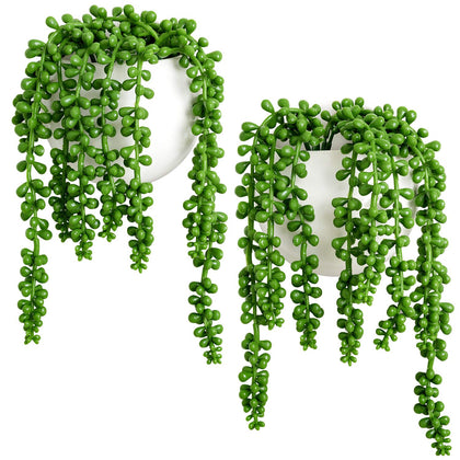 Dahey wall planters with pearls and succulent for stylish indoor greenery.
