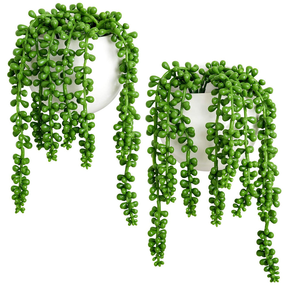 Dahey wall planters with pearls and succulent for stylish indoor greenery.
