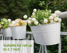 Dahey window garden planter for indoor sunlight and mini gardens