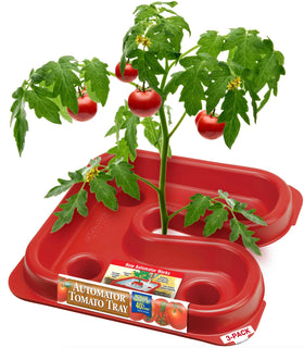 Dalen Automator tray with reflective surface boosts light to tomato undersides.