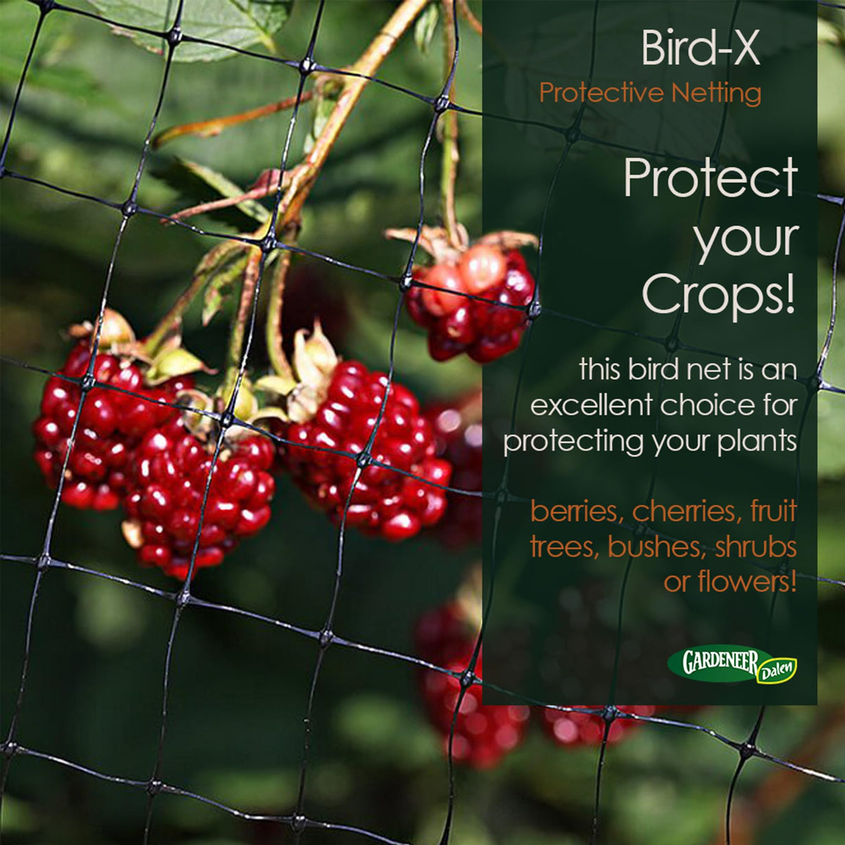 Dalen Bird-X netting shown in a 7x20 foot coverage configuration