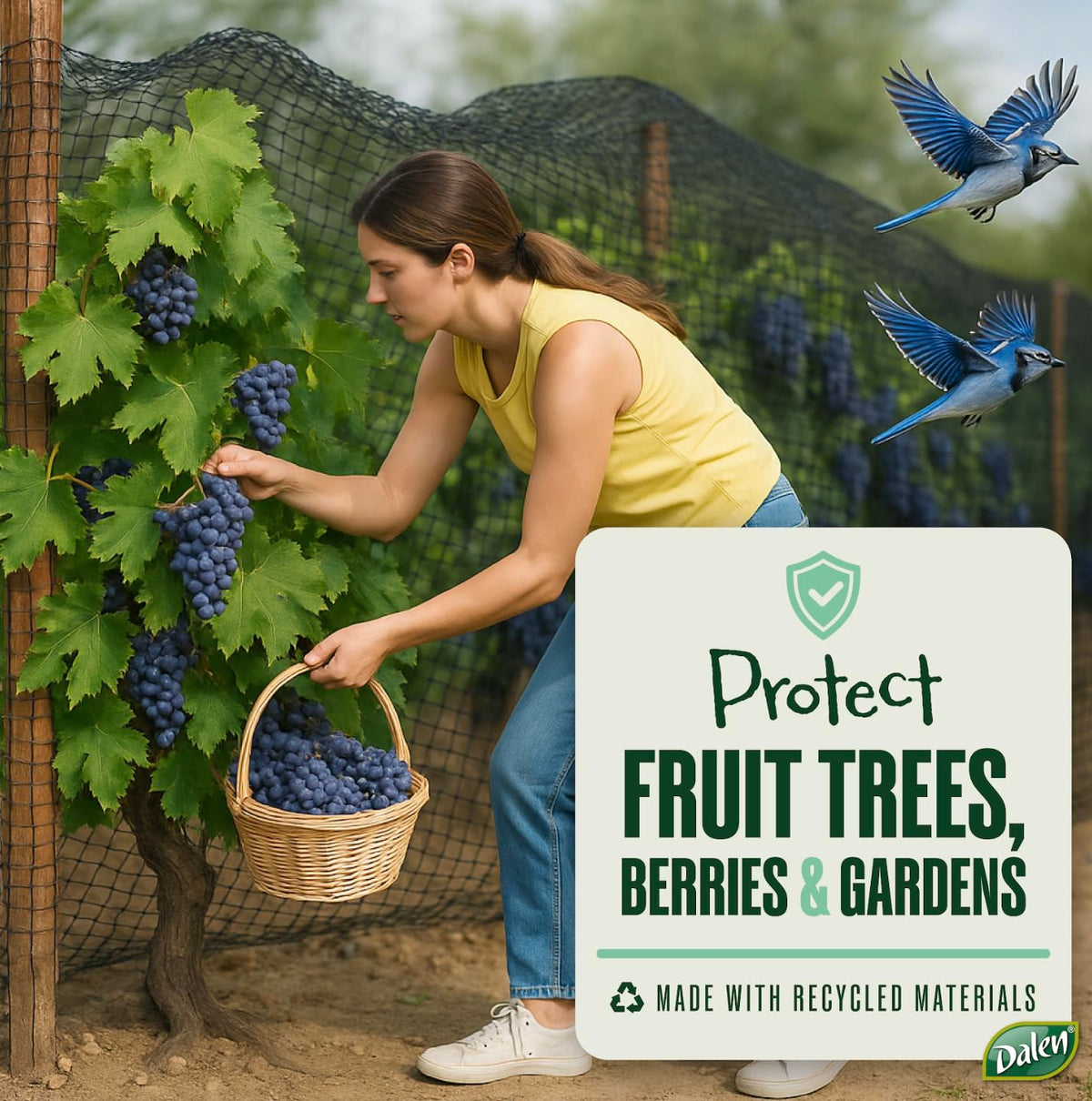 Dalen Bird-X netting shields berries without harming surrounding wildlife.