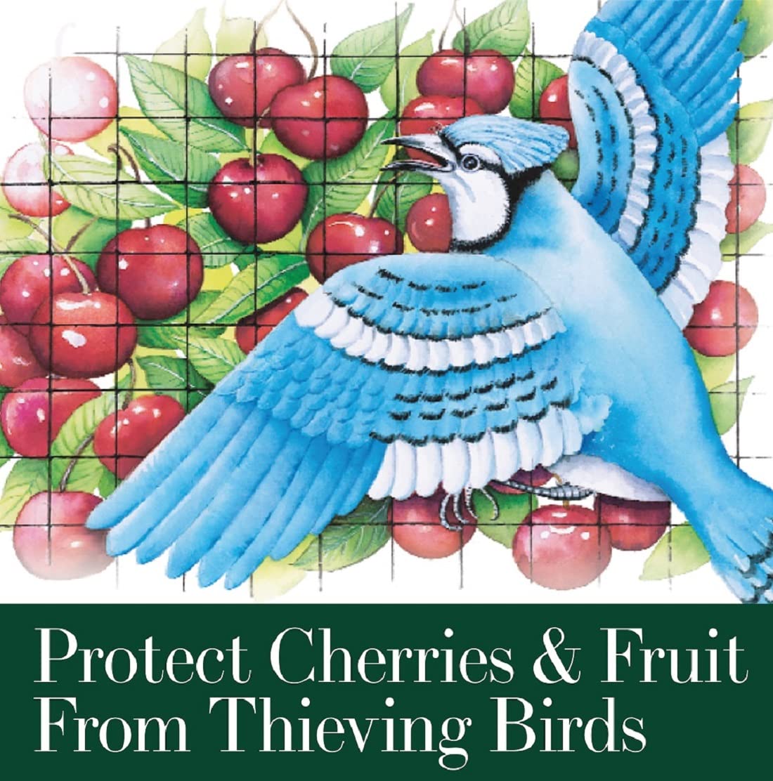 Dalen Bird-X netting covers a vegetable bed to deter pests.